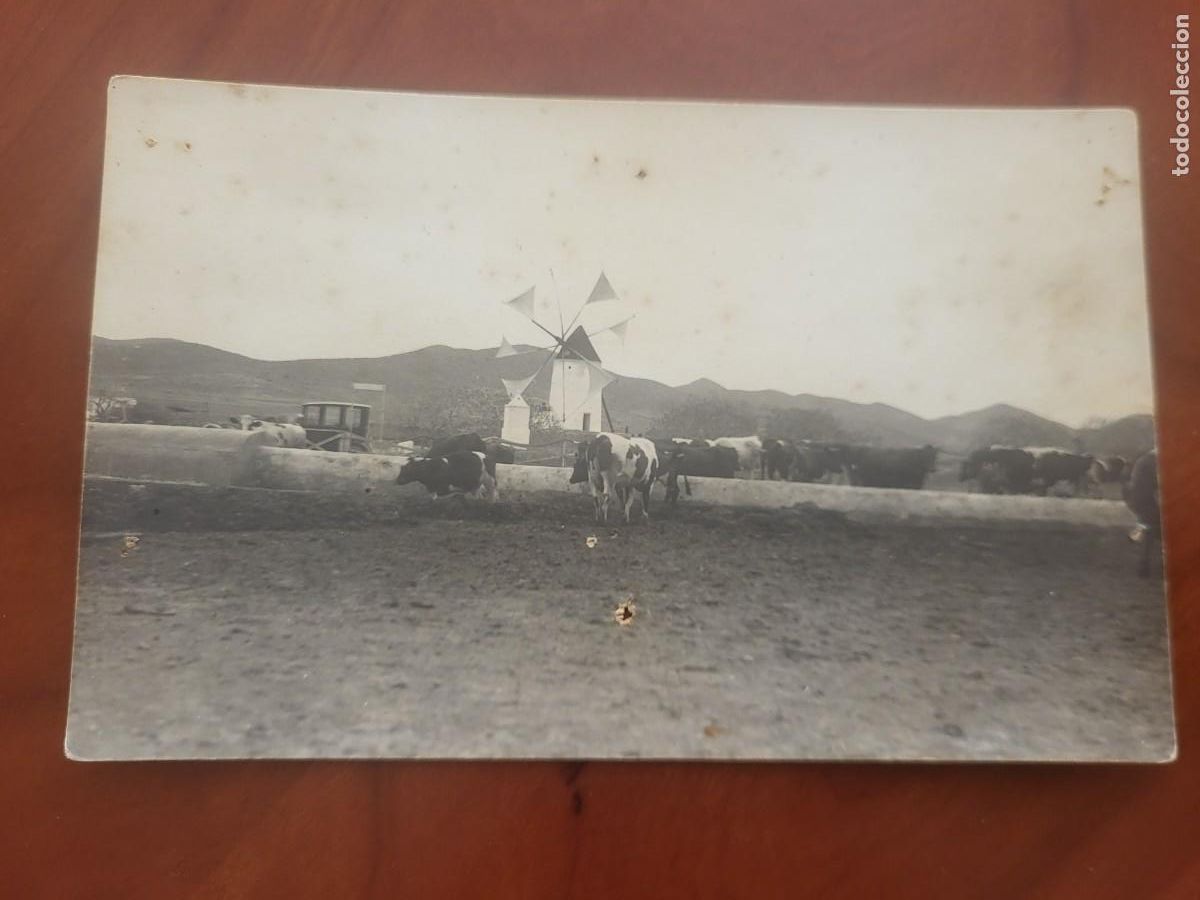 Postales: ANTIGUA FOTOGRAFIA TARJETA POSTAL MOLINO DE VIENTO CAMPO DE CARTAGENA MURCIA