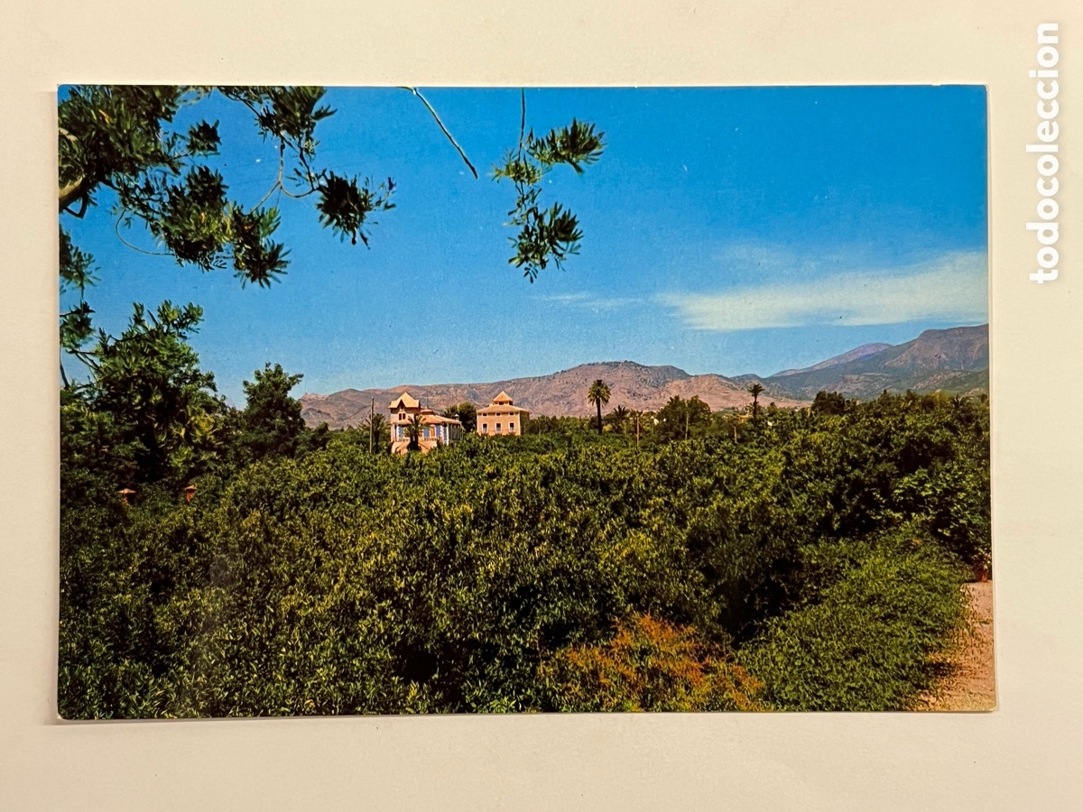 Postales: TOTANA (Murcia) Postal No.11.101, Plaza de la Constituci&oacute;n y Parroquia de Santiago (a.1977) S/C