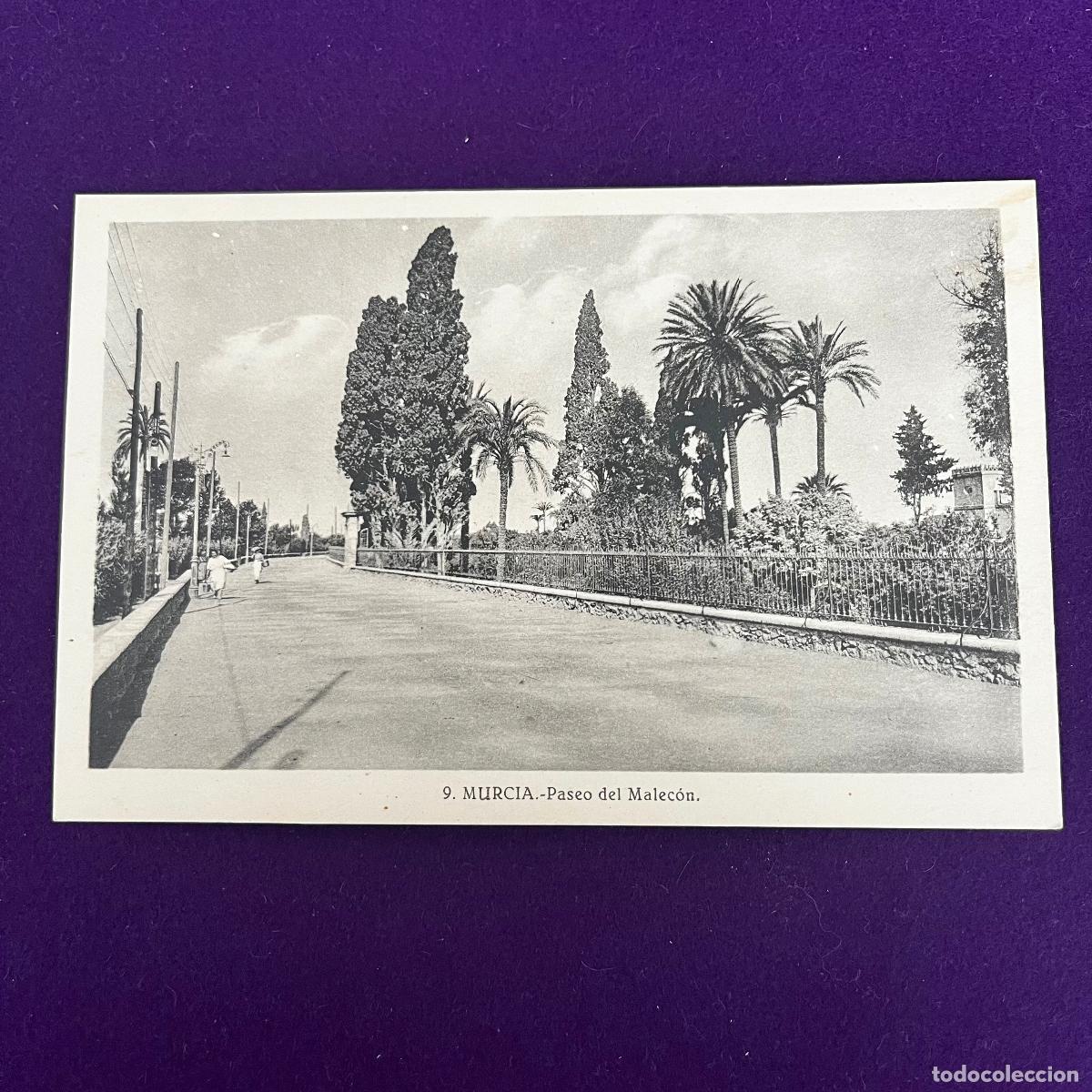 Postales: POSTAL DE MURCIA. PASEO DEL MALECON.