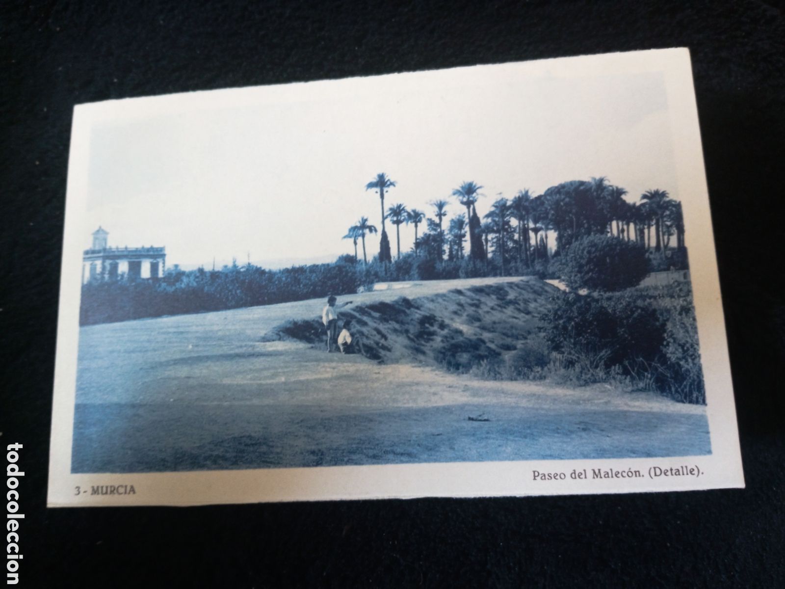 Cartoline: Antigua postal fotogr&aacute;fica de Murcia Paseo del Malec&oacute;n