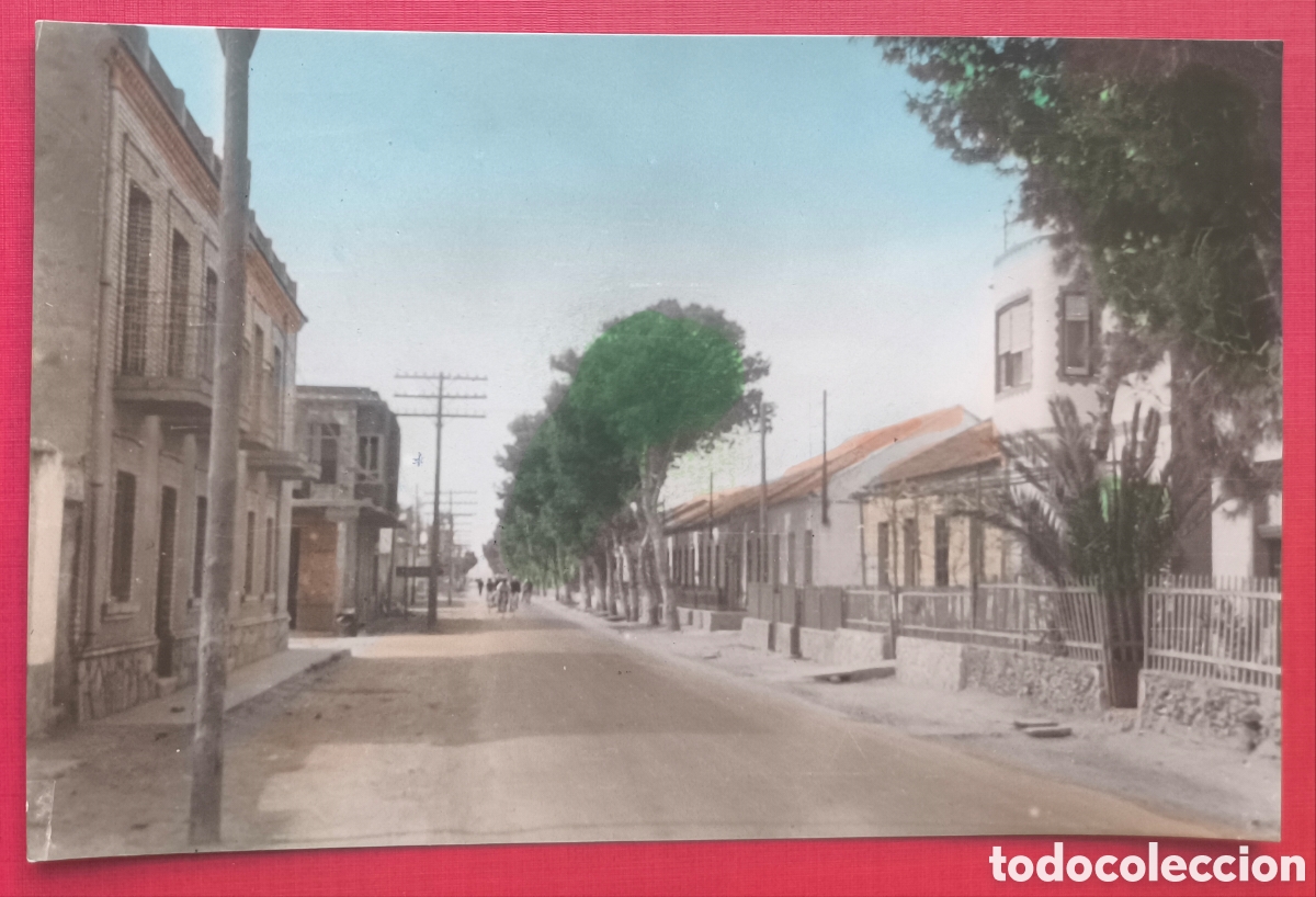 Postales: LOS ALC&Aacute;ZARES AVENIDA SAN JAVIER POSTAL FOTOGR&Aacute;FICA COLOREADA MAR MENOR MURCIA C. 1960