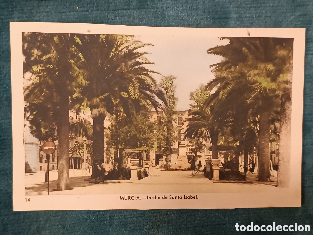 Postales: 14 MURCIA. Jard&iacute;n de Santa Isabel