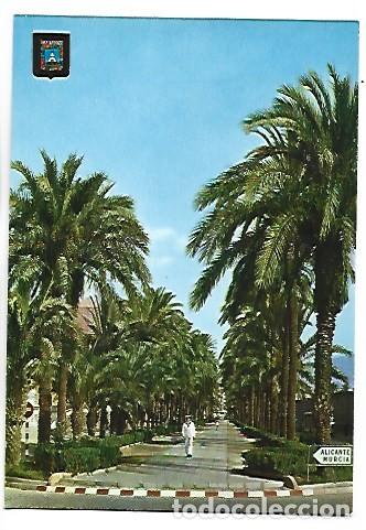 Postales: CALLE REAL. PASEO DE LAS PALMERAS.- CARTAGENA