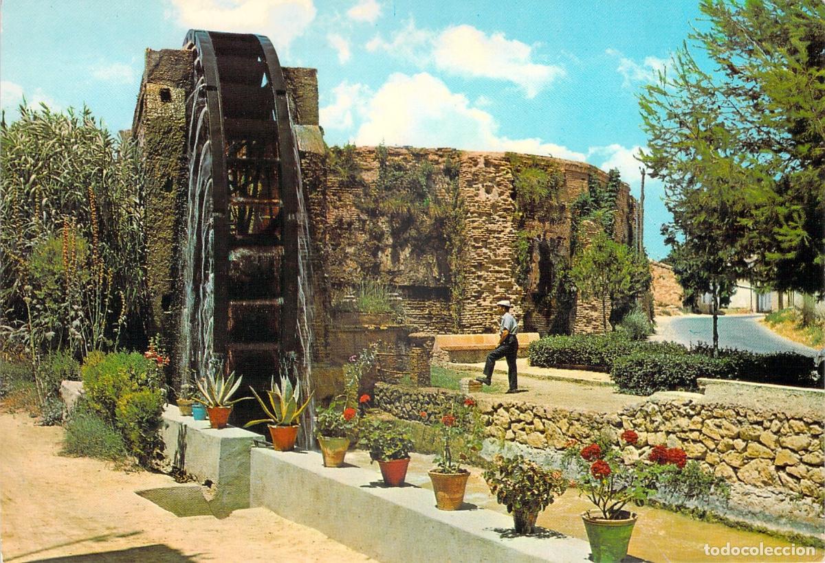 Postales: Postal de la Noria de la Nora en Murcia
