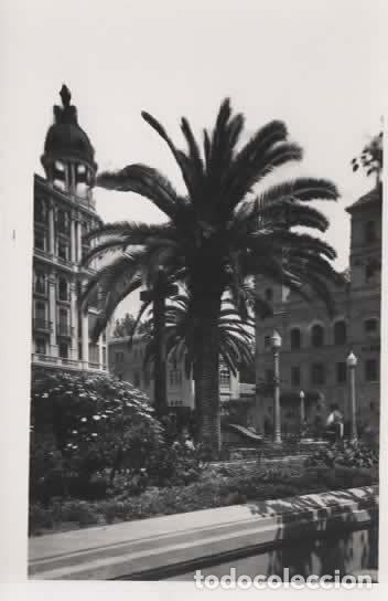 Postales: MURCIA SIN ESCRIBIR JARDIN DE SANTO DOMINGO