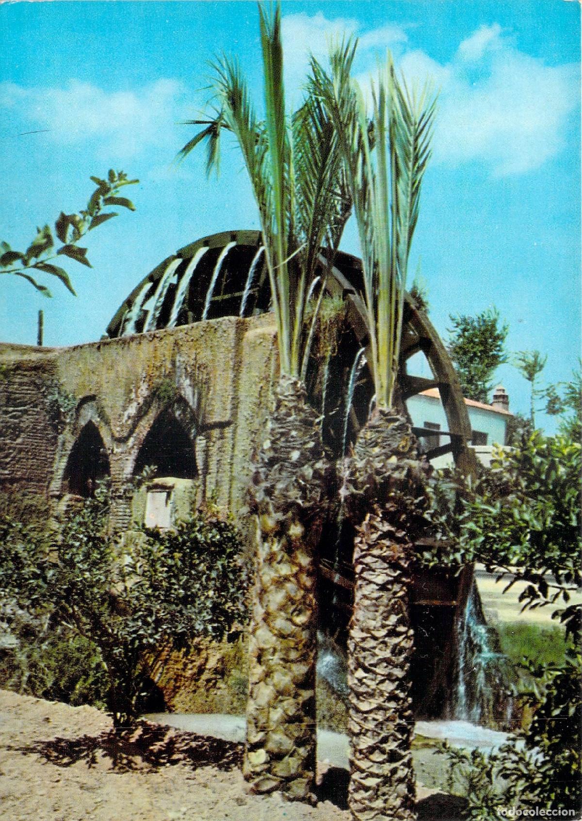 Postales: Postal de la Noria en el Museo de la Huerta, Alcantarilla, Murcia