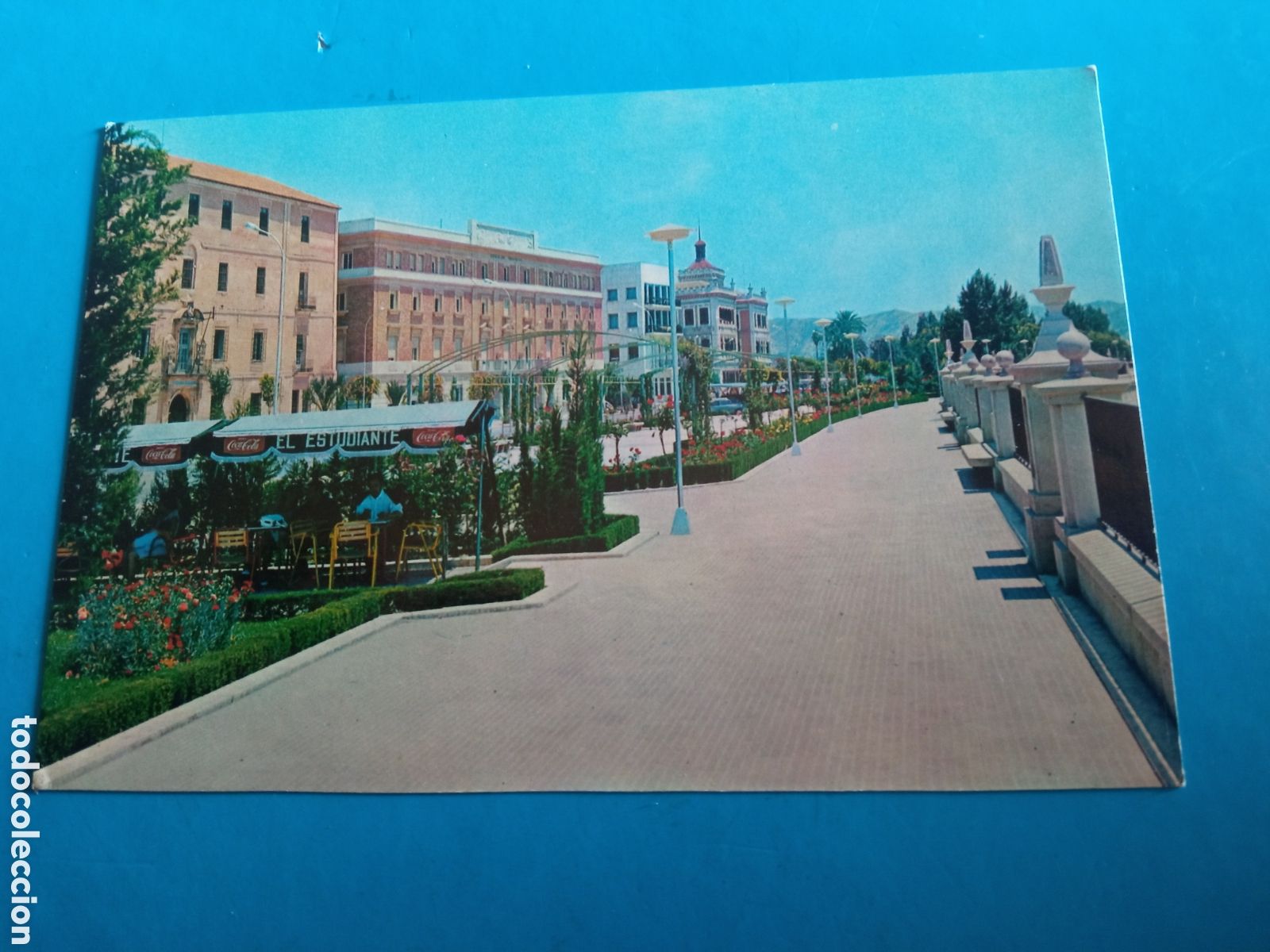 Postales: Antigua postal fotogr&aacute;fica, Murcia, Paseo Moderno