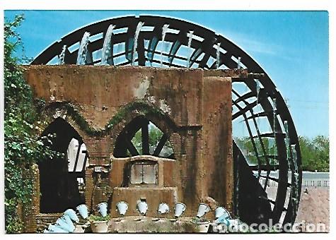 Postales: NORIA, MUSEO DE LA HUERTA.- MURCIA