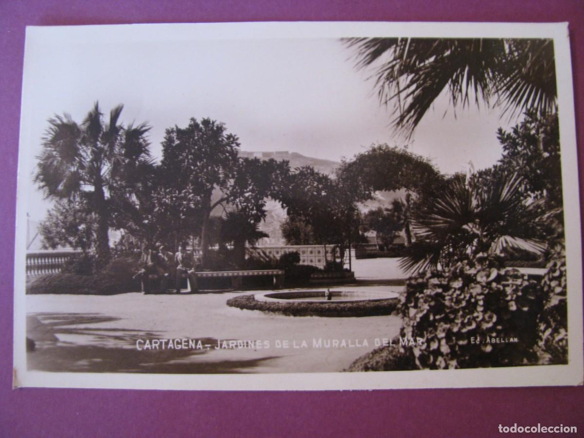 Postales: POSTAL FOTOGRAFICA DE CARTAGENA. ED. ABELLAN. JARDINES DE LA MURALLA DEL MAR