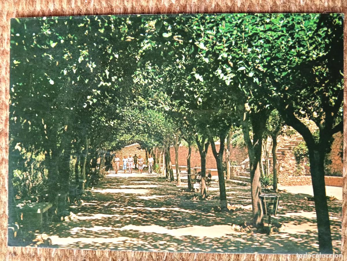 Postales: SANTUARIO DE LA ESPERANZA - CALASPARRA - MURCIA - TERRAZA DE LAS MORERAS - ED. ARRIBAS