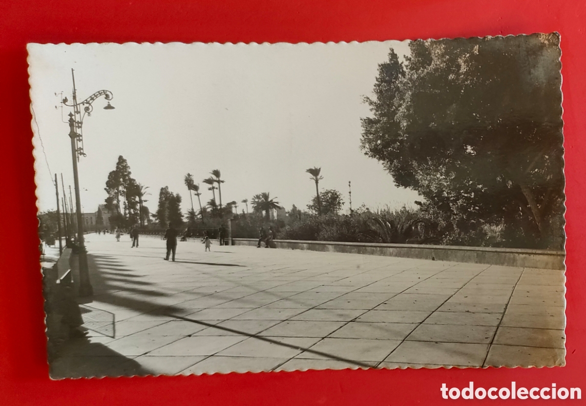Postales: MURCIA Paseo del Malec&oacute;n. - Foto 1