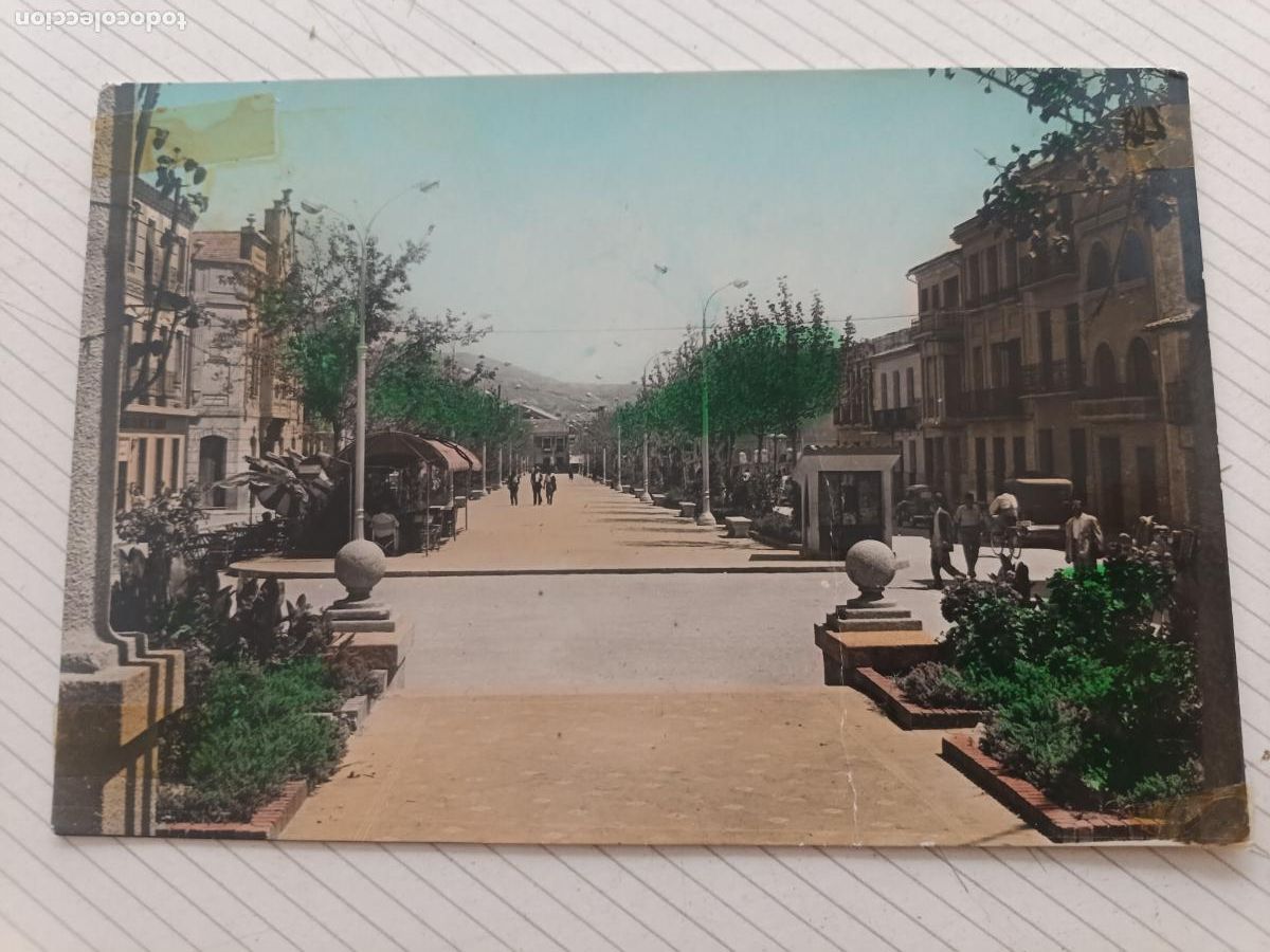 Postales: Cieza, Murcia, no circulada. Cristo