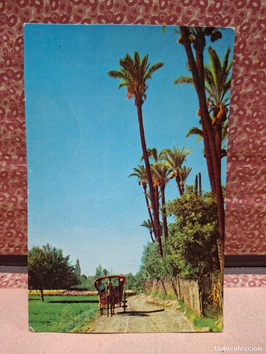 Postcards: ANTIGUA POSTAL PAISAJE DE LA HUERTA MURCIA COY 10