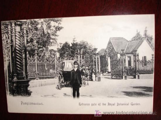 Postales: PAMPLONESES - Foto 1