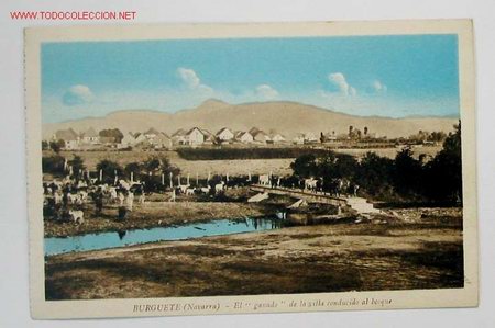 Postales: TARJETA POSTAL NAVARRA - Foto 1