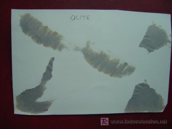 Postales: OLITE - FOTOGRAFICA - Foto 2