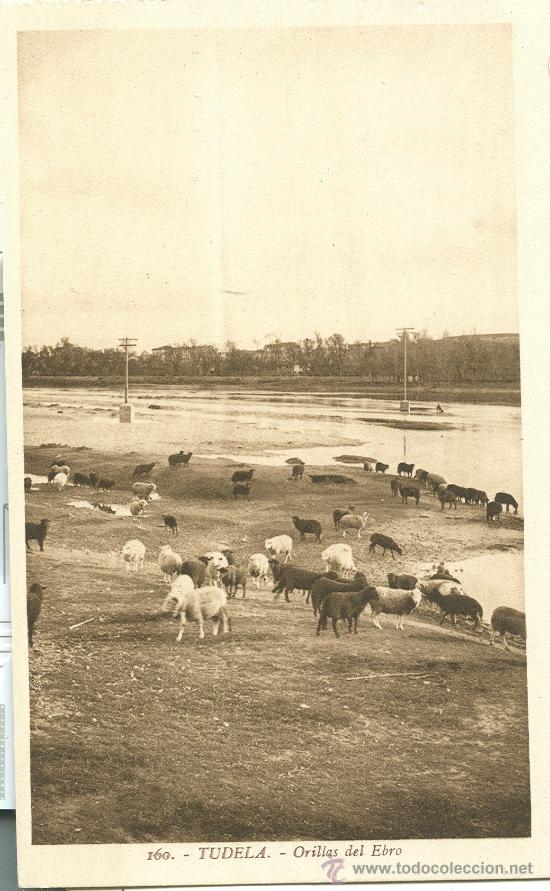 Postales: TUDELA. ORILLAS DEL EBRO. - Foto 1