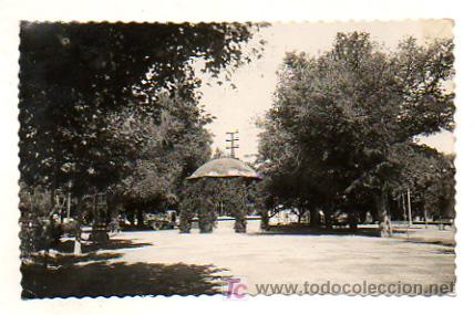 Postales: TUDELA. PASEO GENERAL FRANCO. - Foto 1