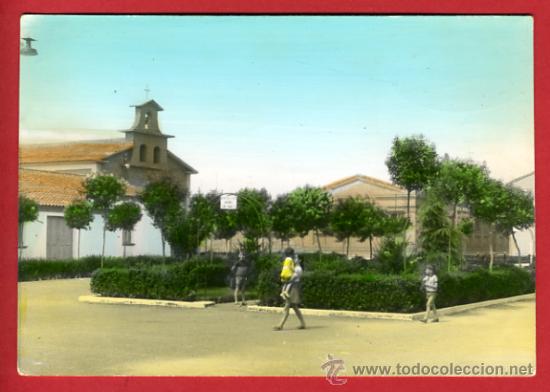Postales: castejon de ebro, vista parcial,      P42982 - Foto 1