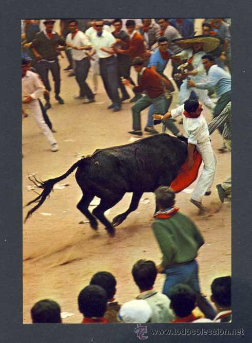 Postales: Postal de PAMPLONA: Encierro de los toroserkowitz num. 502) - Foto 1