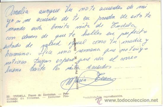 Postales: Tudela - Navarra - Postal Paseo de Invierno - Foto 2