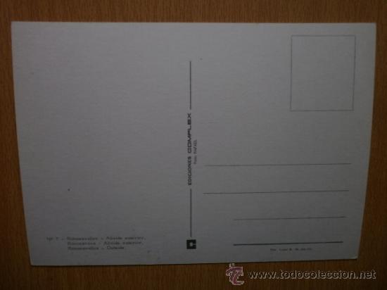 Postales: RONCESVALLES. - Foto 2