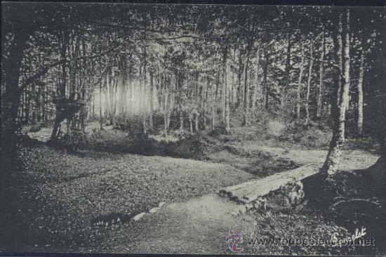 Postales: RONCESVALLES (NAVARRA).- LA FUENTE DE ROLD&Aacute;N - Foto 1