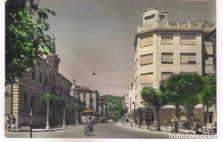 Postales: POSTAL DE ESTELLA ,PASEO DE LA INMACULADA. - Foto 1