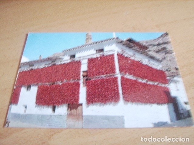 Postales: LODOSA  ( NAVARRA )  SECADO DE PIMIENTOS - Foto 1