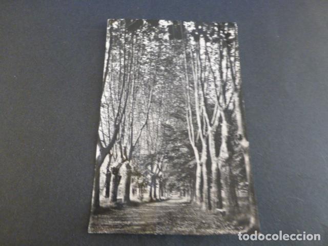 Postales: SANTESTEBAN NAVARRA PARQUE DE INZACARDI - Foto 1
