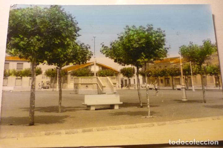 Postales: POSTAL CASTEJON DE NAVARRA.-PARCIAL COLOREADA CIRCULADA CM - Foto 1