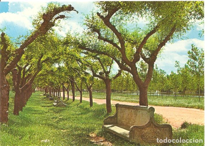 Postales: POSTAL, LODOSA-NAVARRA, ED. PERLA, SIN CIRCULAR - Foto 1