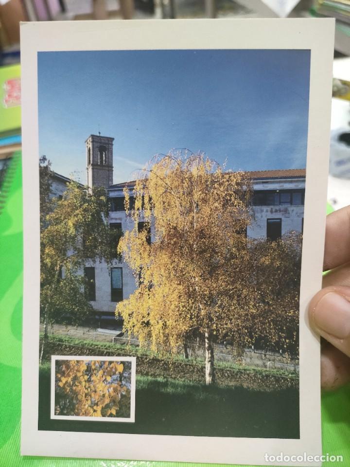 Postales: Postal ABEDUL URKIA Detr&aacute;s del Edificio del Gobierno de Navarra S/C - Foto 1