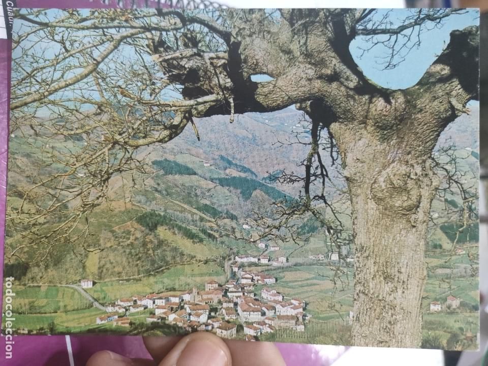 Postales: Postal ECHALAR Vista del Oeste N 118 COMPLEX S/C - Foto 1