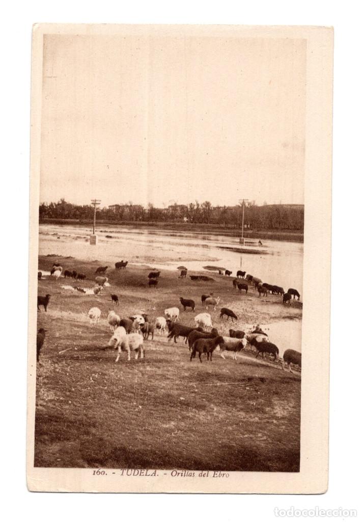 Postales: TUDELA.(NAVARRA).- ORILLAS DEL EBRO. - Foto 1