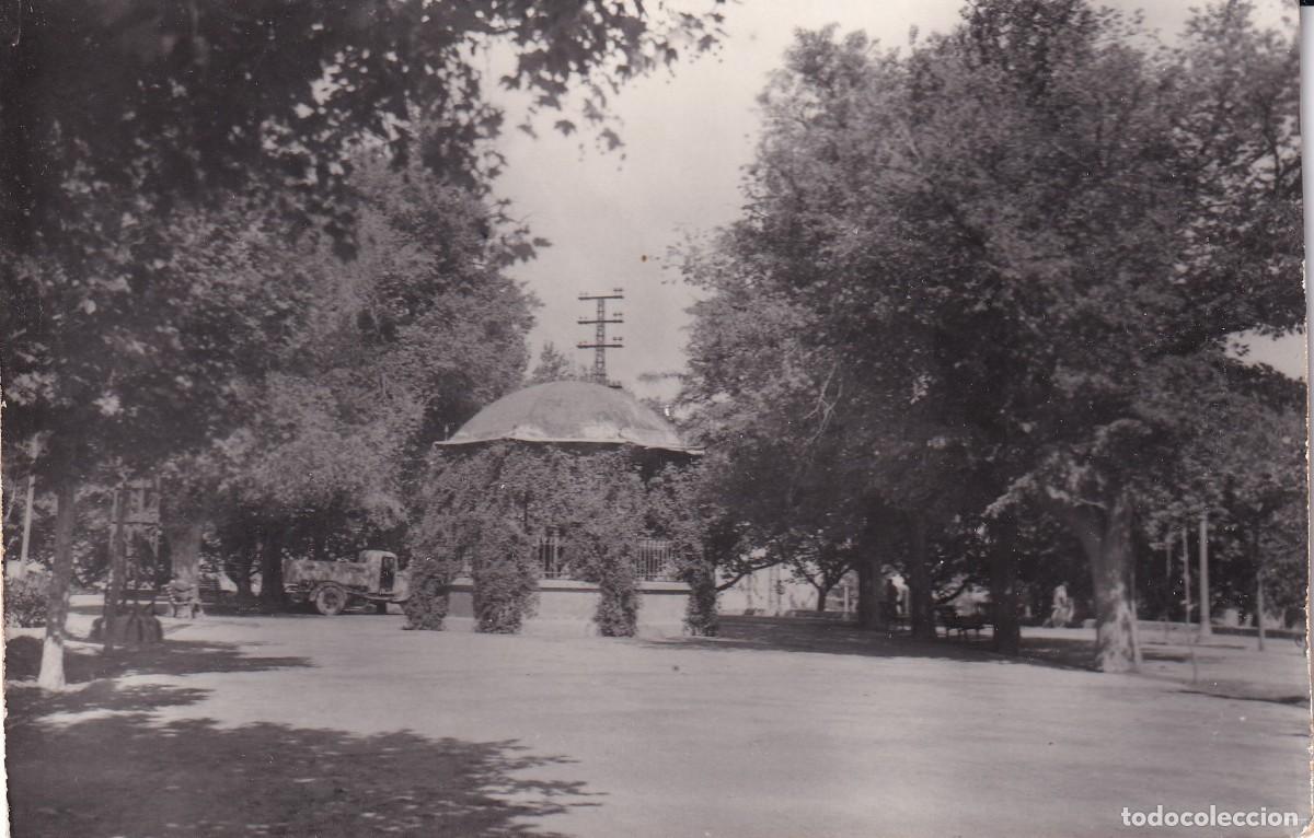 Postales: TUDELA - PASEO DEL GENERAL&Iacute;SIMO - Foto 1
