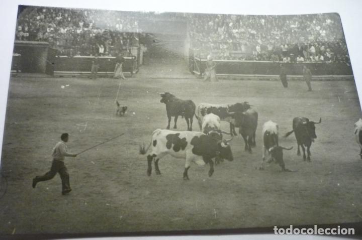 Postales: POSTAL PAMPLONA ENCIERRO TOROS - Foto 1