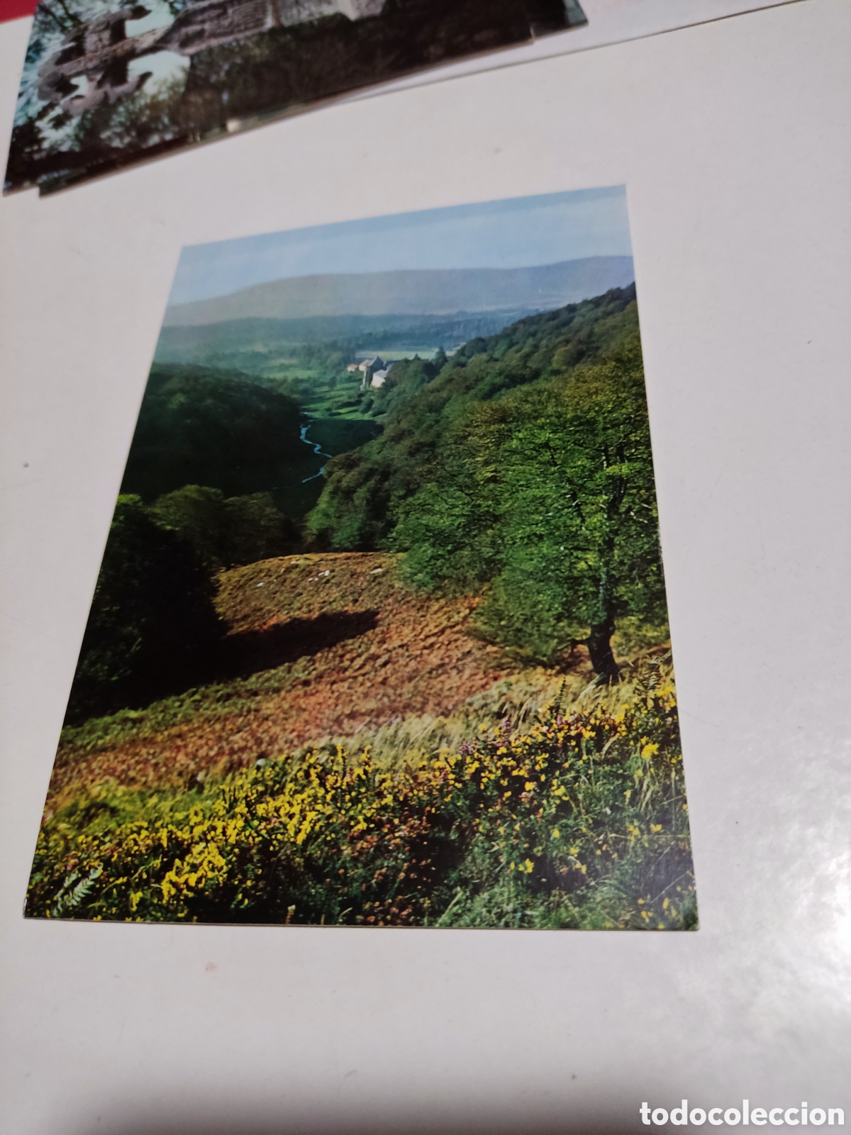 Postales: Postal Roncesvalles - Foto 1