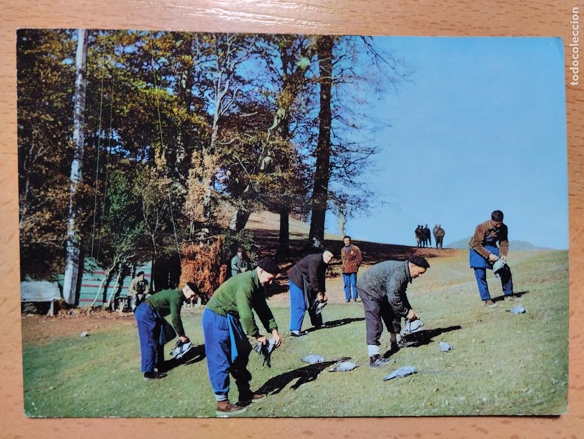 Postales: PALOMERAS DE ECHALAR CAZA DE PALOMAS EN LA RED - Foto 1