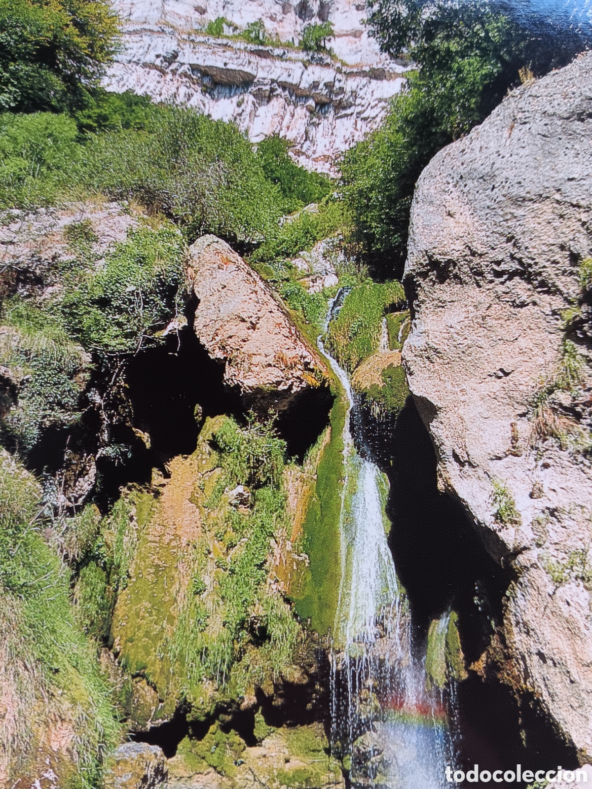 Postales: Postal de Navarra. Nacedero del Urederra - Foto 1