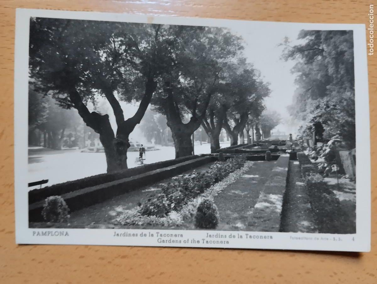 Postales: PAMPLONA. JARDINES DE LA TACONERA. - Foto 1