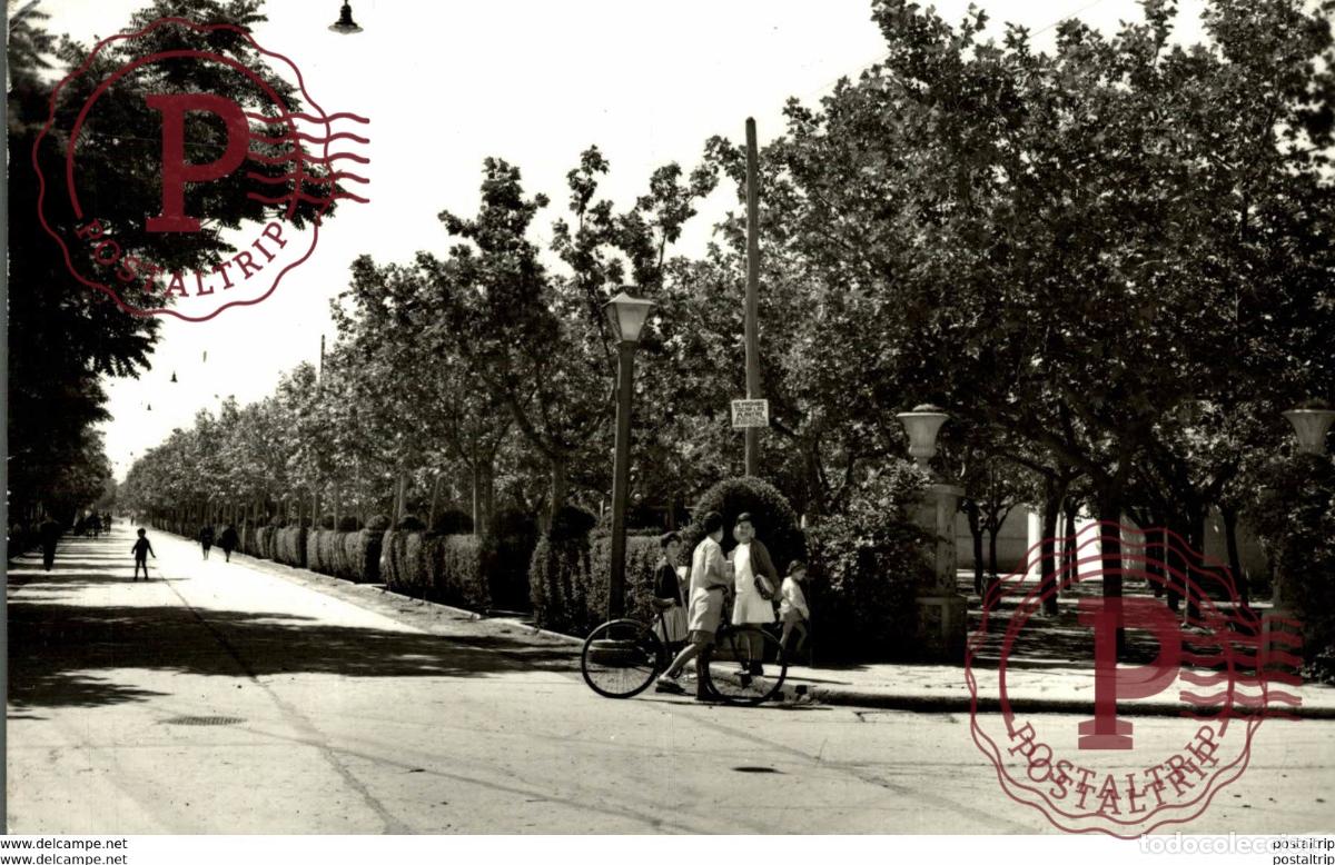 Postales: CINTRUENIGO AVENIDA DE RUBIO - Foto 1
