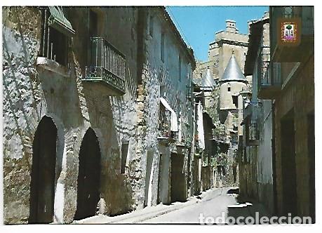 Postales: CALLE TIPICA Y CASTILLO / TYPICAL STREET AND CASTLE.- OLITE - NAVARRA