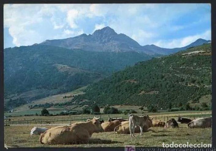 Postais: Izaba. *Isaba. Valle del Roncal, al fondo...* Fot. Pe&ntilde;arroya - G. Garrabella n&ordm; 2. Circulada