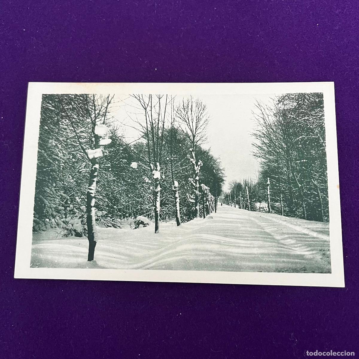 Postais: POSTAL DE RONCESVALLES (NAVARRA). SUS ALREDEDORES EN INVIERNO.