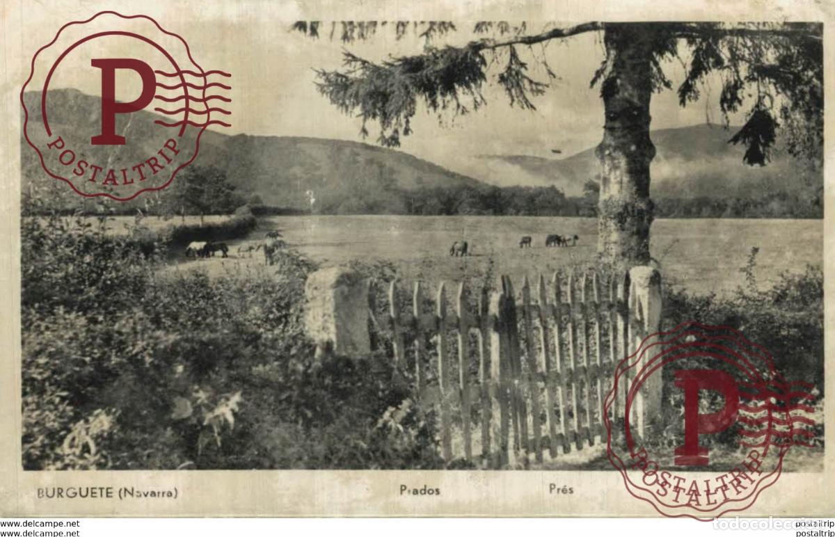 Postales: NAVARRA. BURGUETE. PRADOS