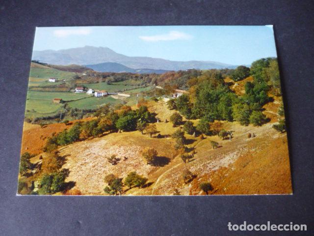 Postales: ECHALAR NAVARRA VISTA PANORAMICA DE PALOMERAS