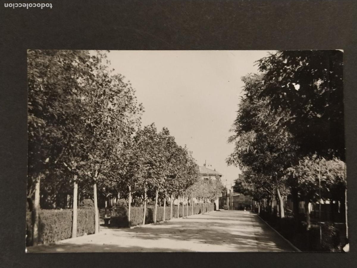 Postales: CIENTRUENIGO (NAVARRA) AVENIDA DE RUBIO - POSTAL ANTIGUA -(116.646)