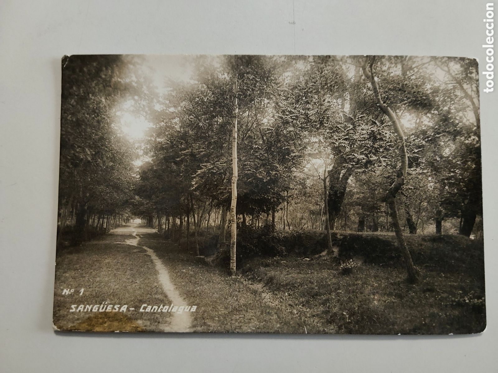 Postales: Tarjeta Postal fotografica Sang&uuml;esa Navarra Cantolagua Numero 1