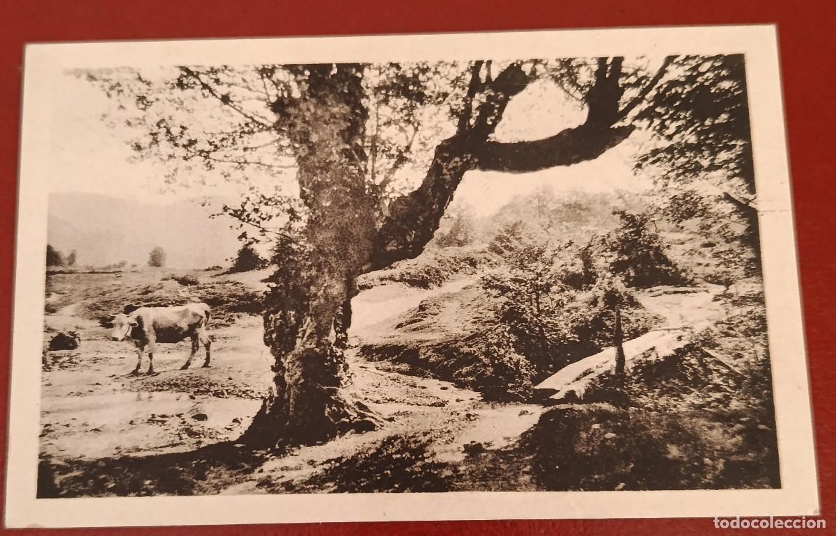 Postales: TARJETA POSTAL TEJER&Iacute;A - BURGUETE 1920/30 - HAUSER Y MENET